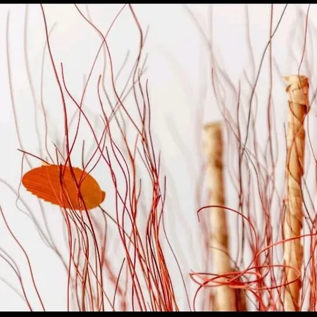 Apartment Ronda Playa