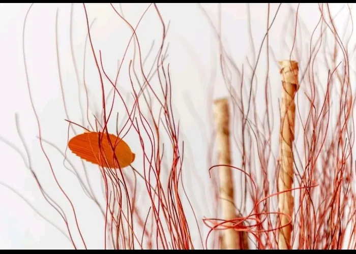 Apartamento Ronda Playa